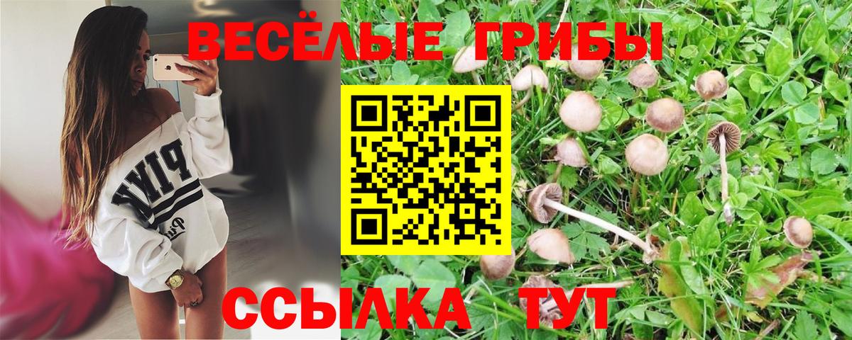 Псилоцибиновые грибы прущие грибы  Вход с VPN  Галлюциногенные грибы ЛСД  Реж 